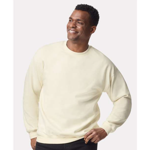 Adult Softstyle Crewnecks