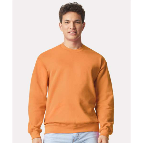 Adult Softstyle Crewnecks