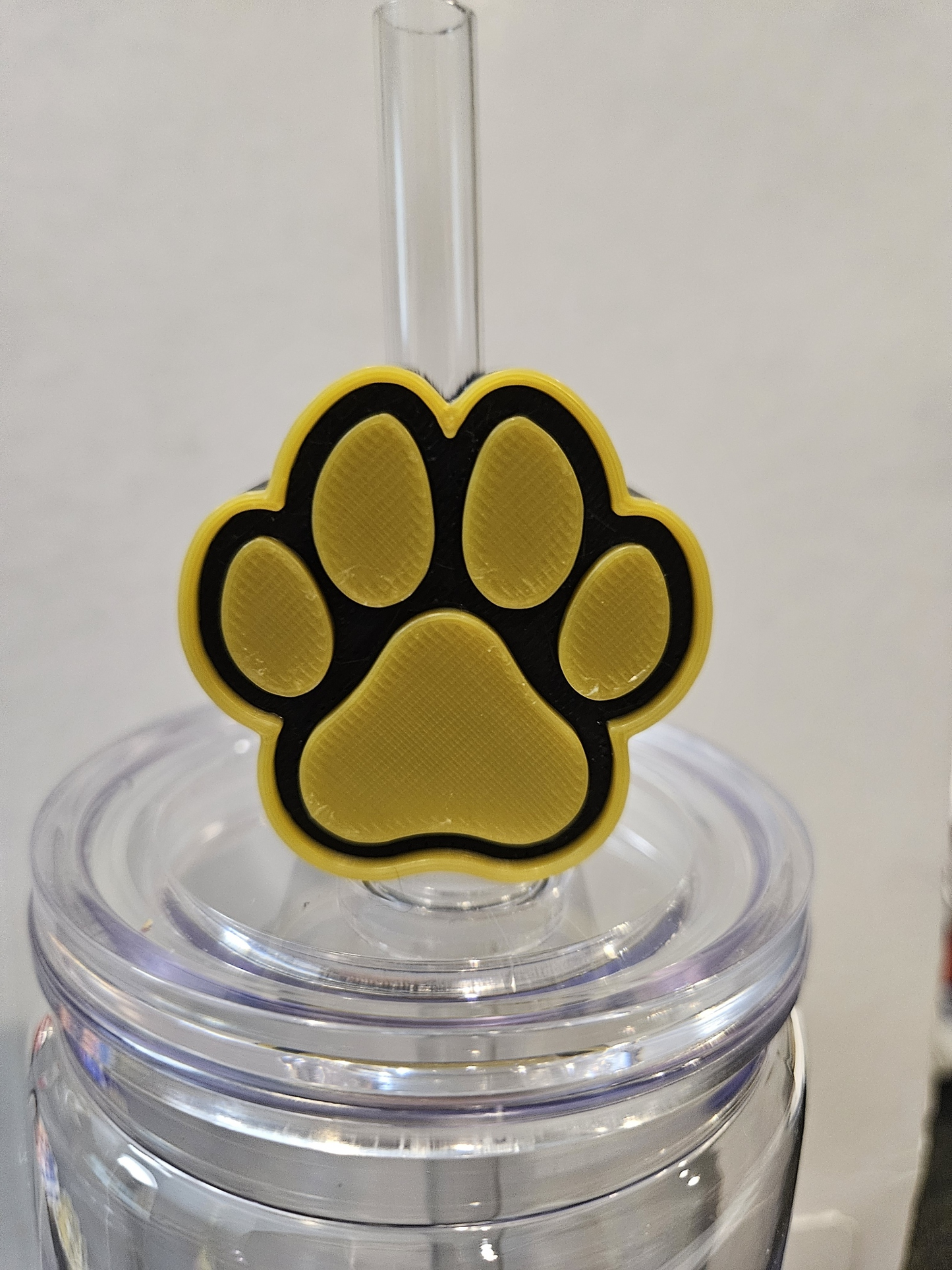 Black & Gold Paw Print