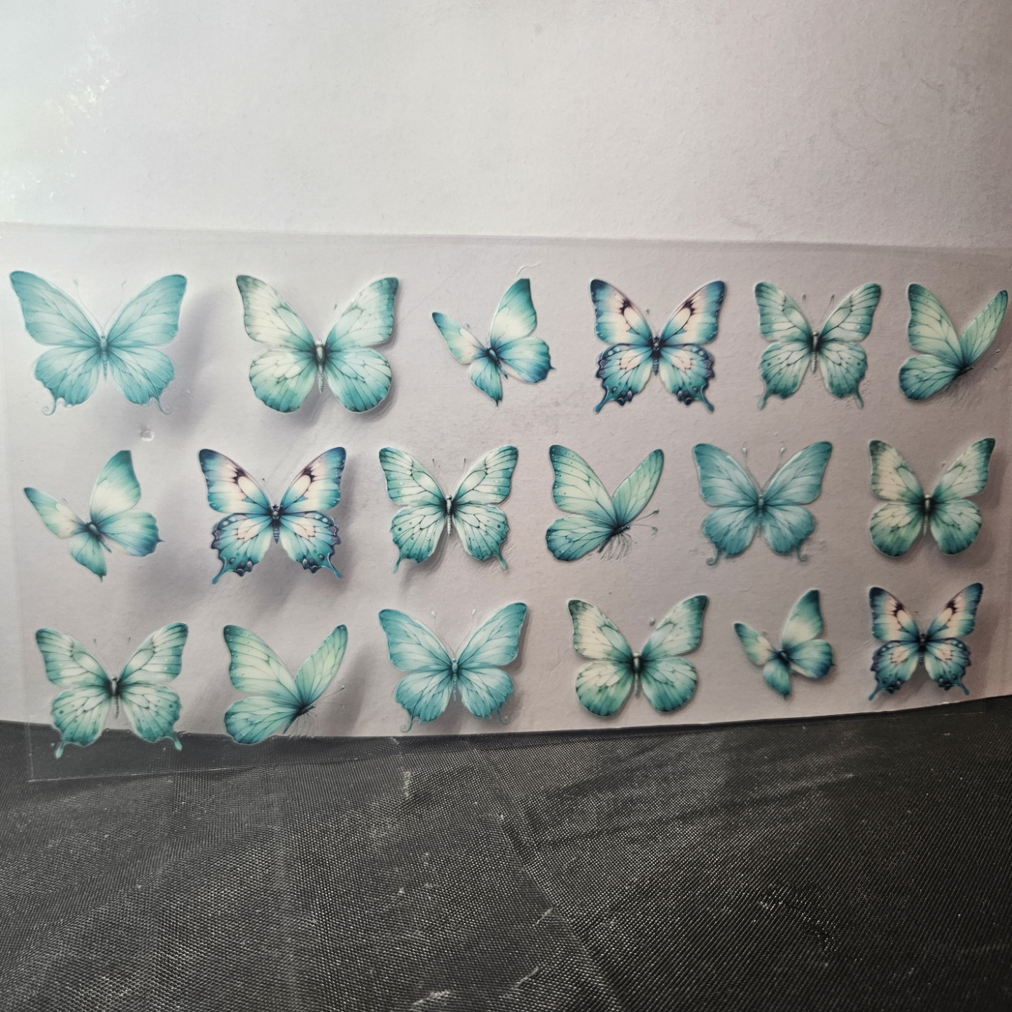 Butterfly-11