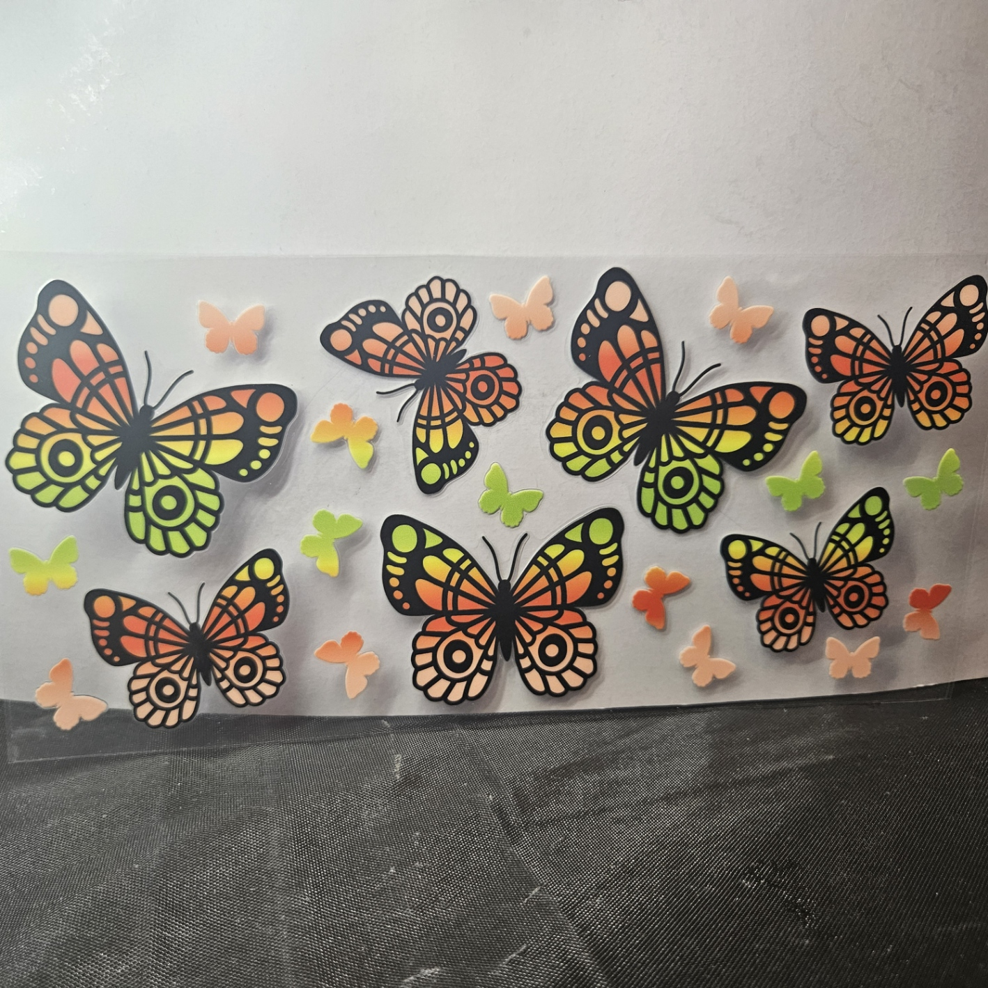 Butterfly-16