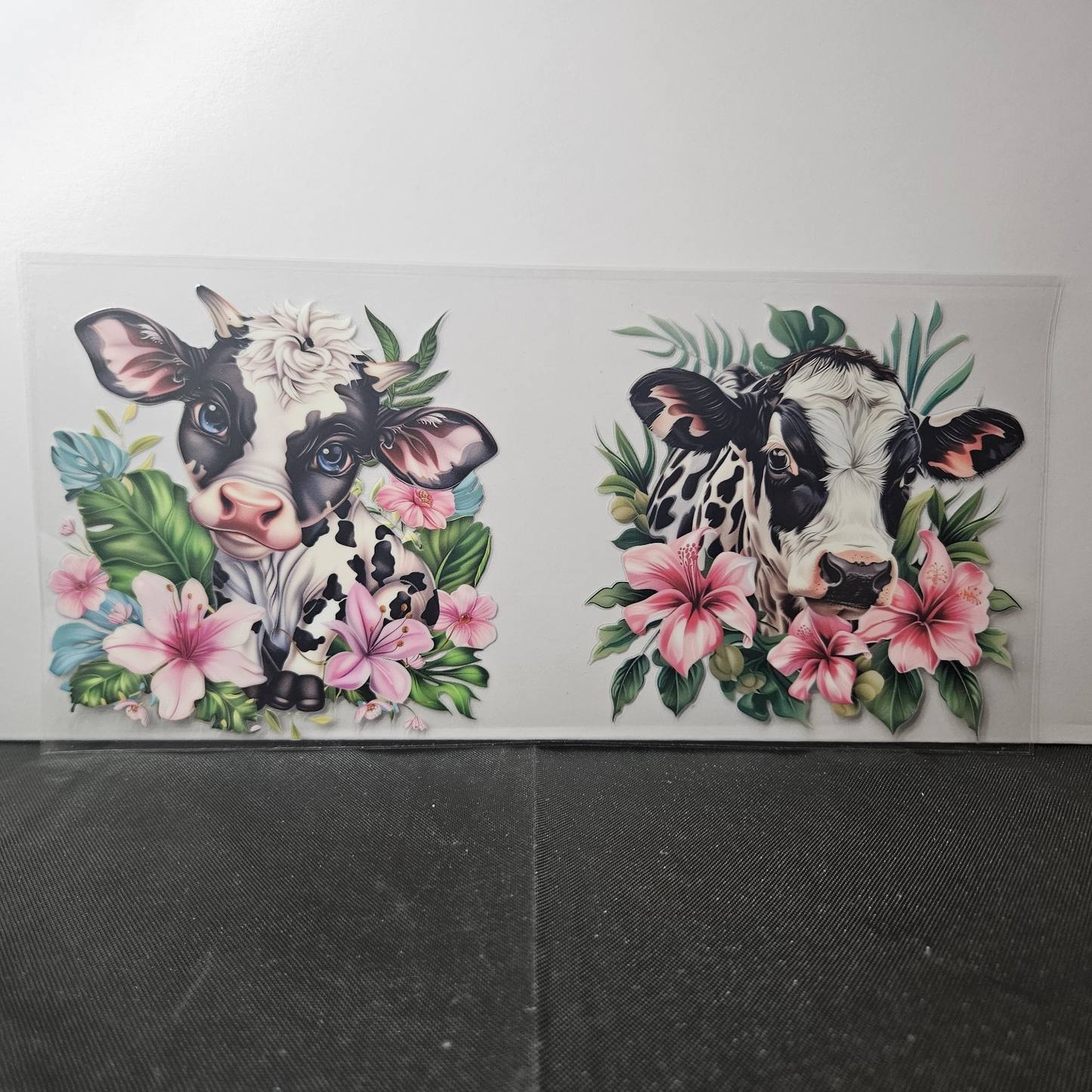 Cow-59