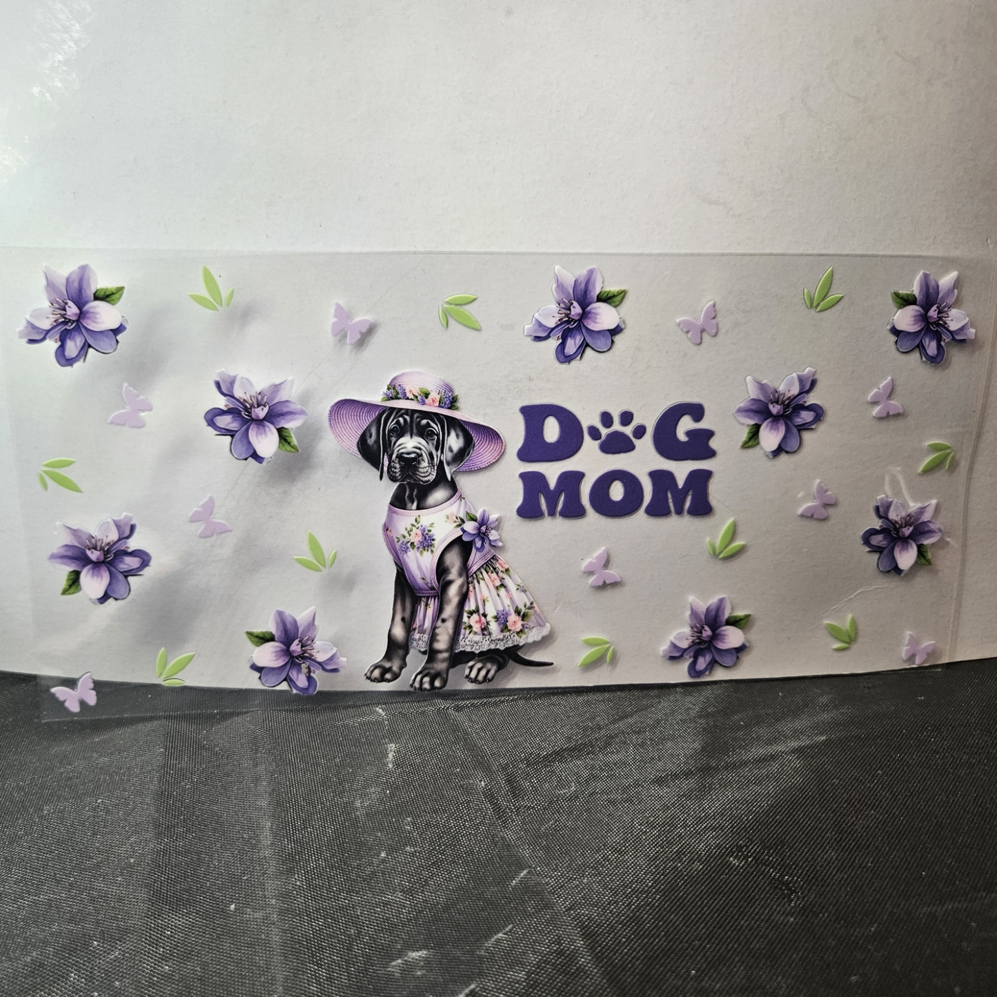 Dog-17