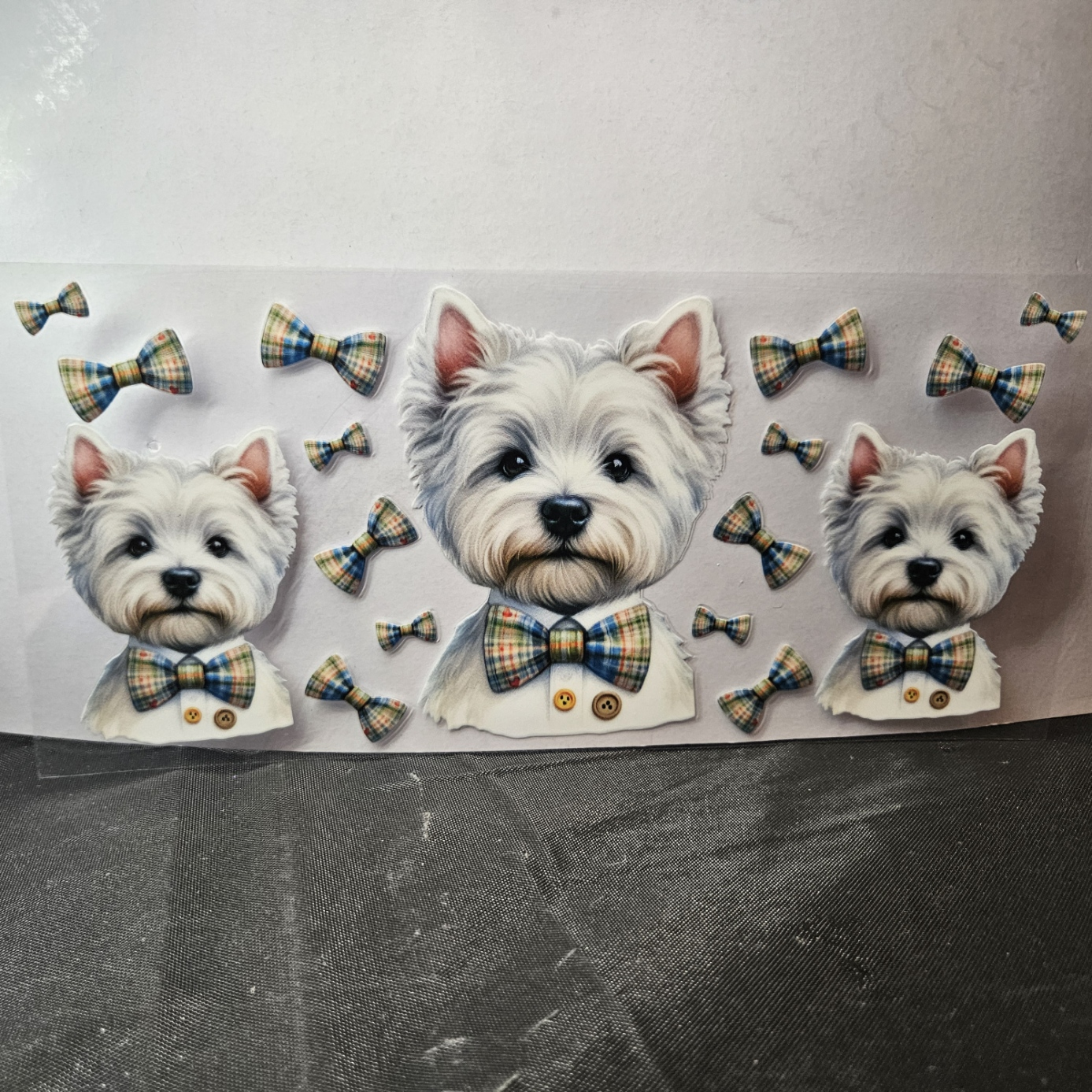 Dog-9