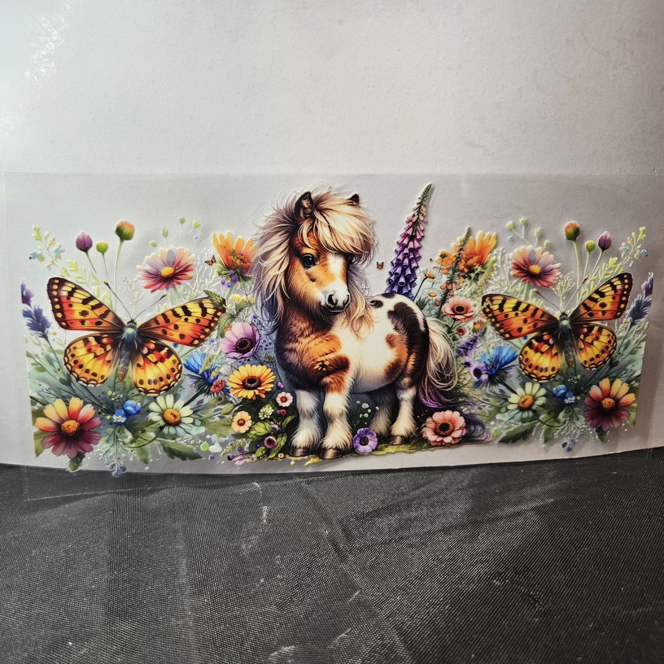 Horse-5