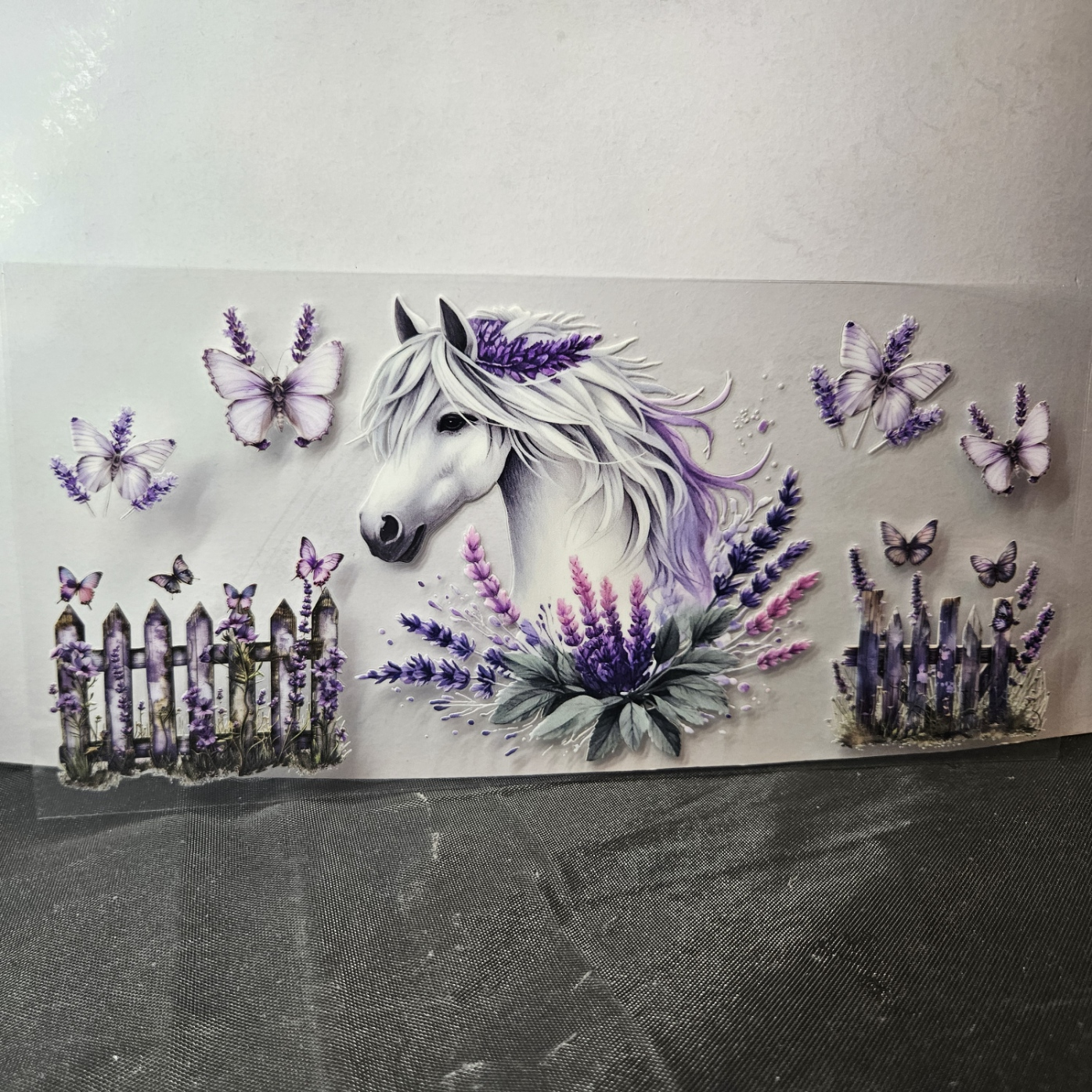 Horse-7