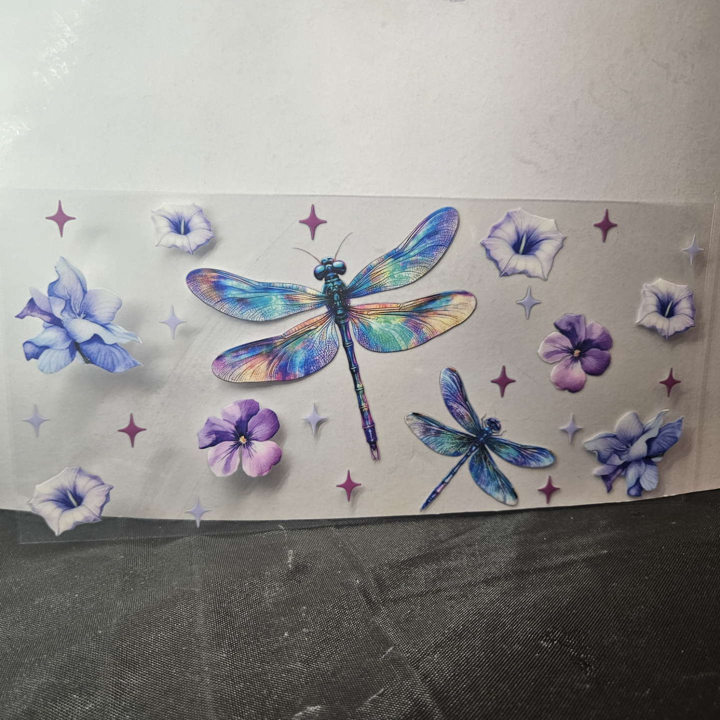 Insect-2
