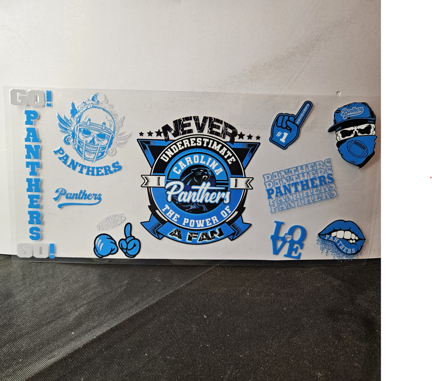 Panthers-2
