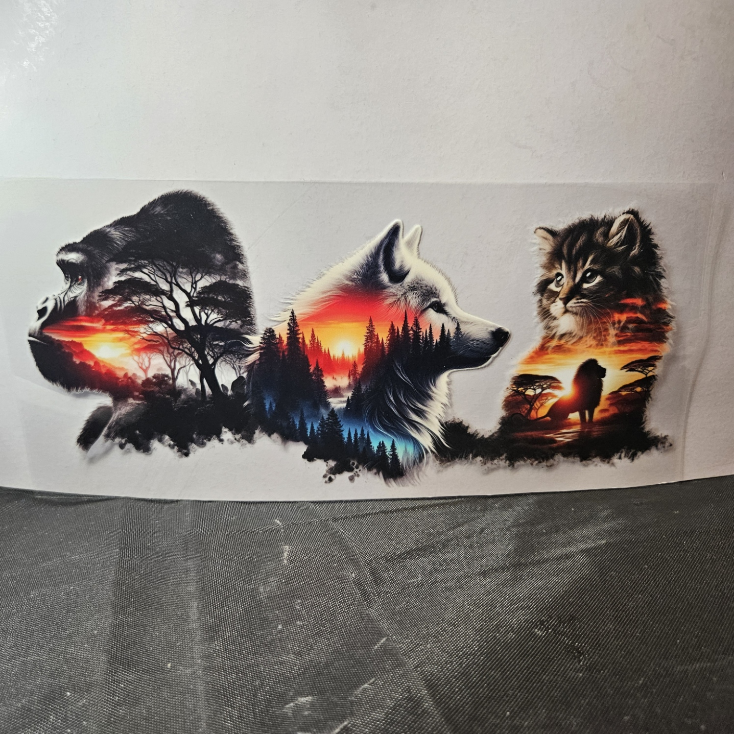 Wolf-2