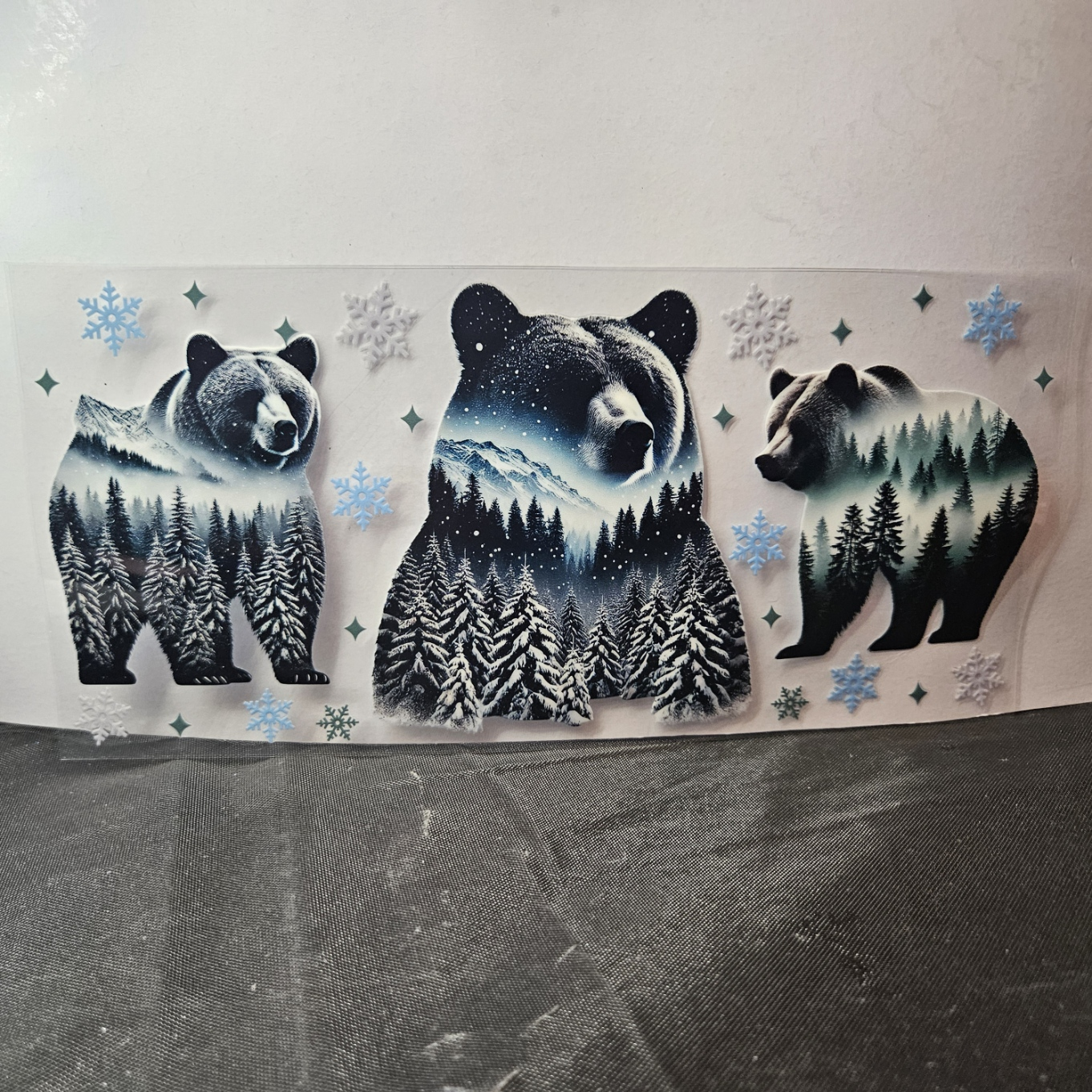 Bear-2