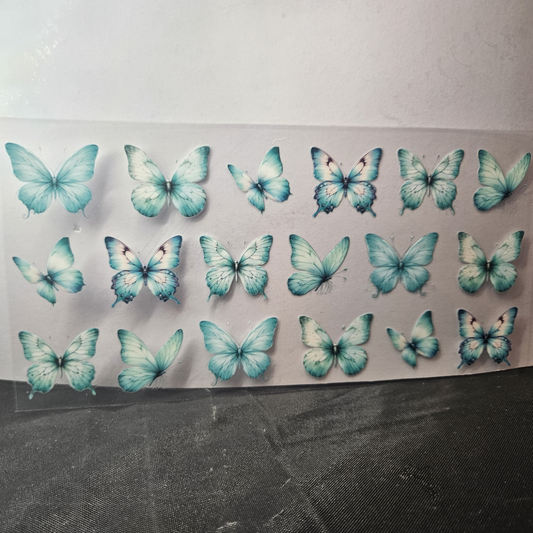 Butterfly-11