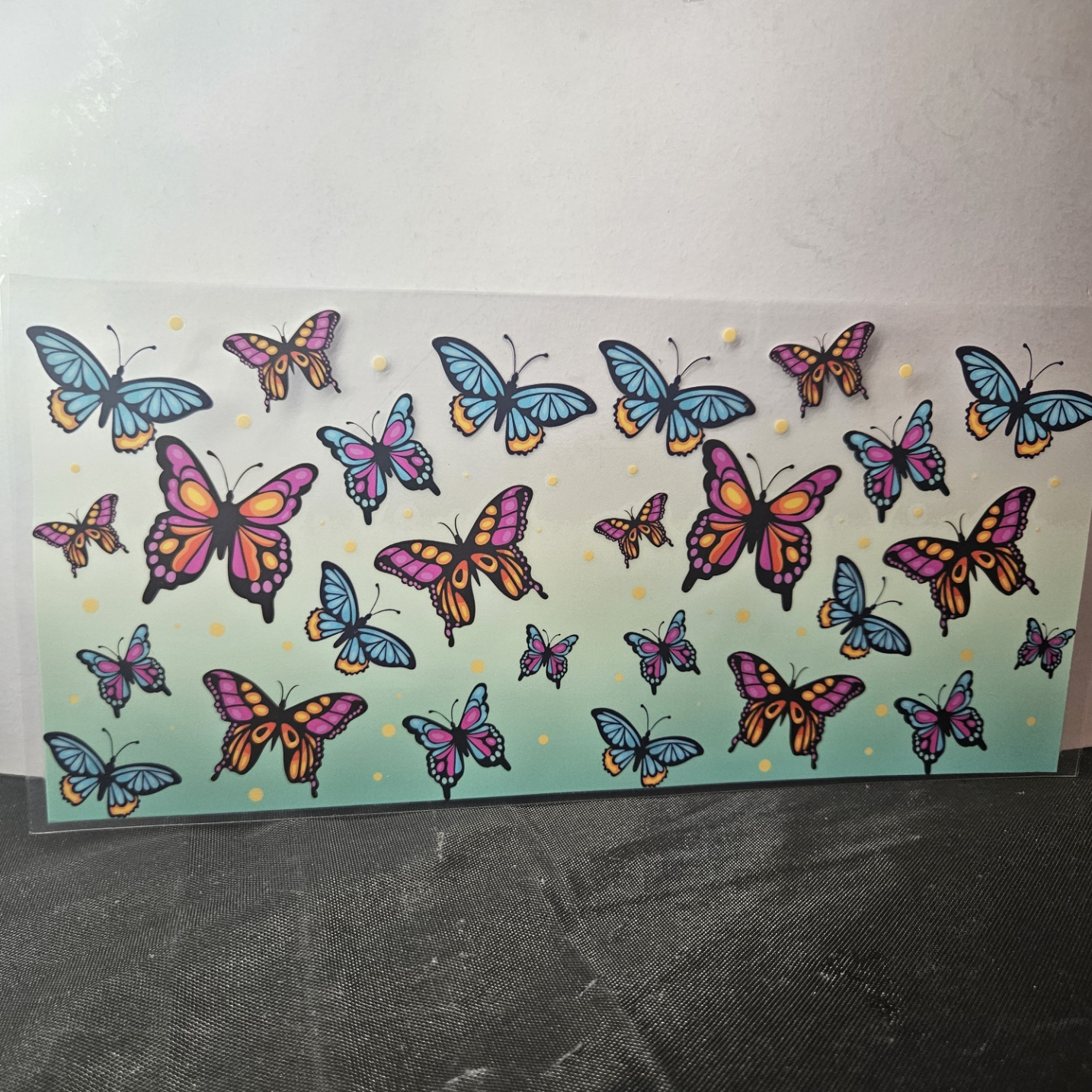 Butterfly-13