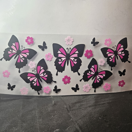 Butterfly-17