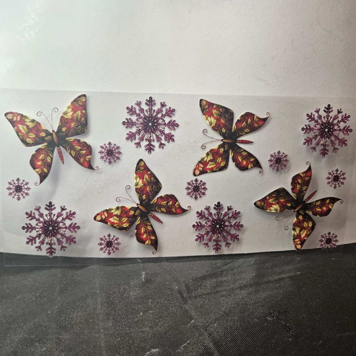 Butterfly-19