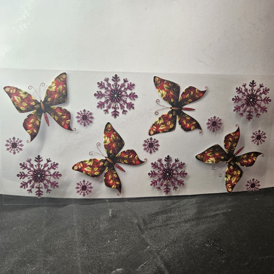 Butterfly-19