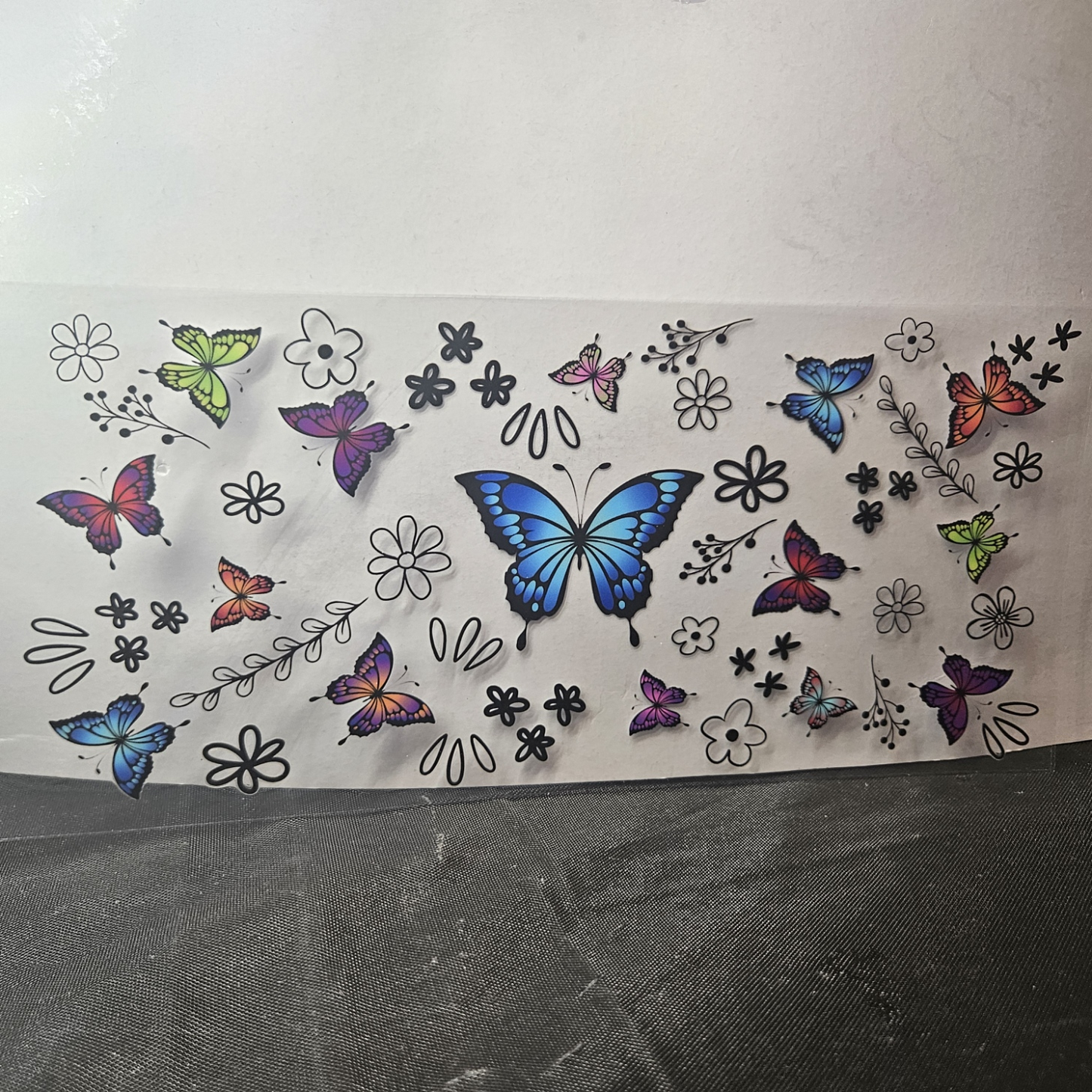 Butterfly-20