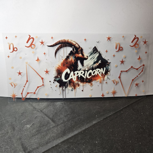 Capricorn-1