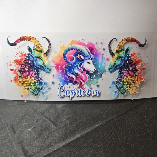 Capricorn-4