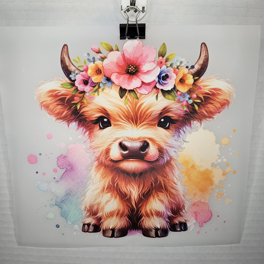 Cow-itdtf-22