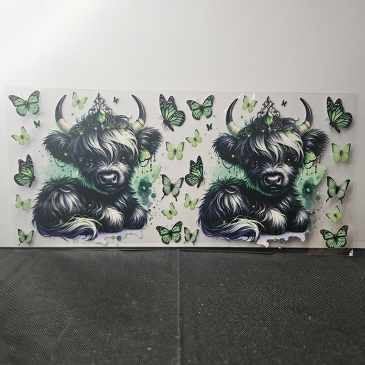 Cow-11