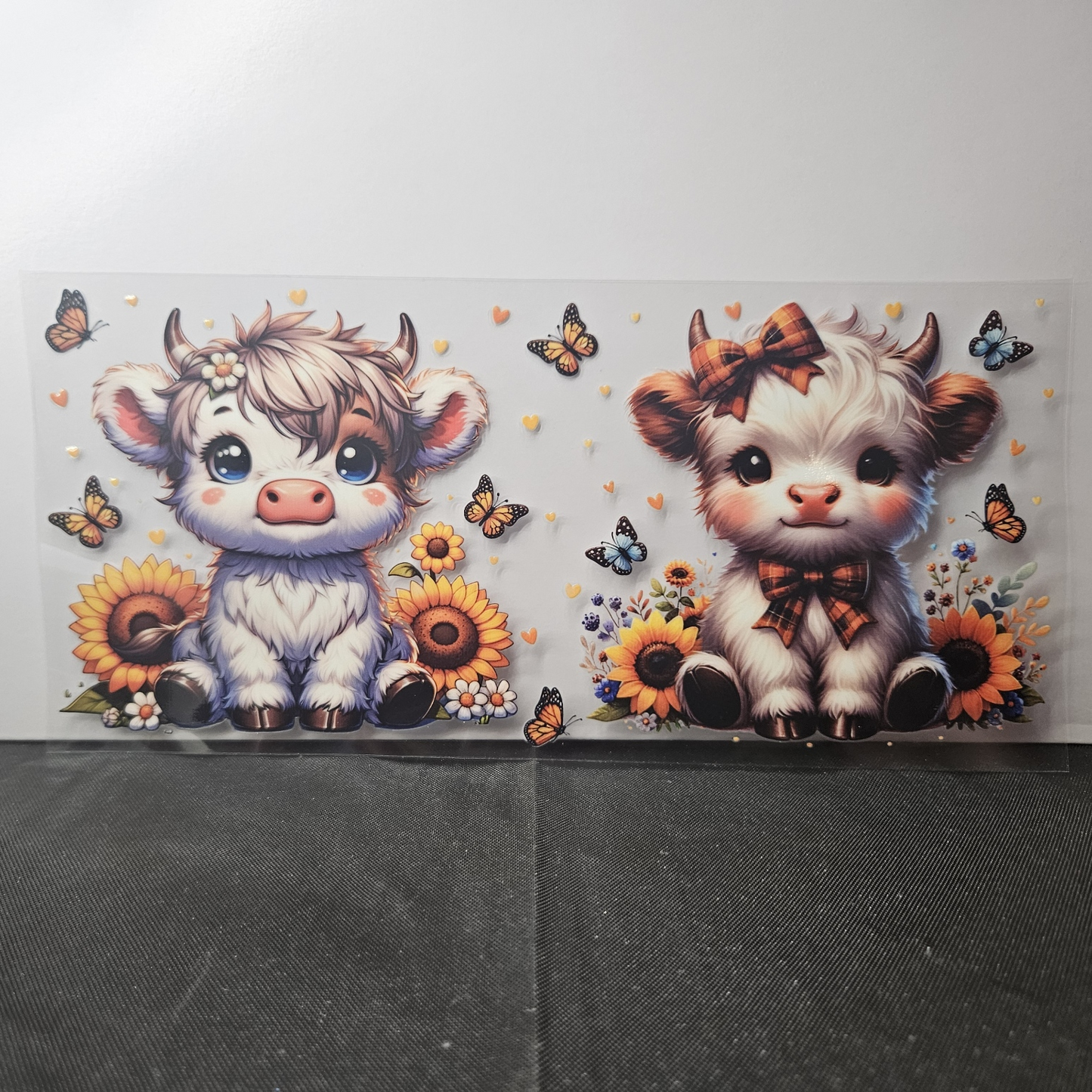 Cow-12