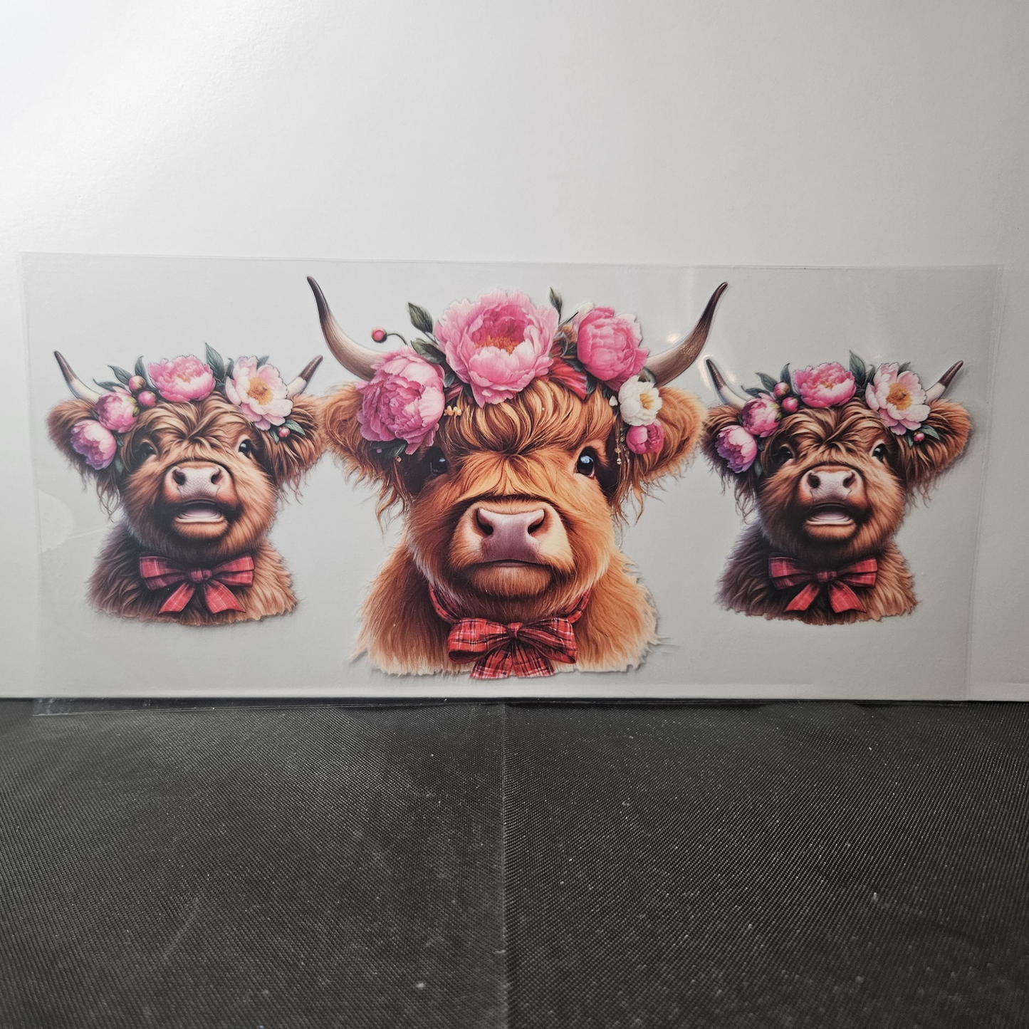 Cow-42