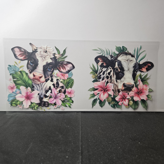 Cow-59