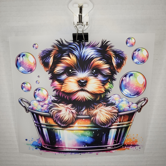 Dog-itdtf-1