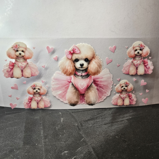 Dog-10