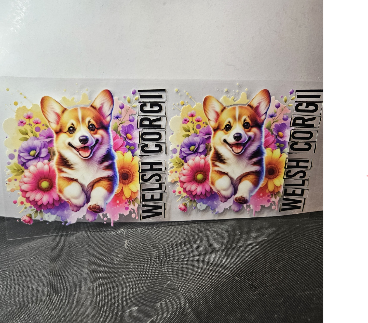 Dog-13