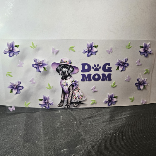 Dog-17
