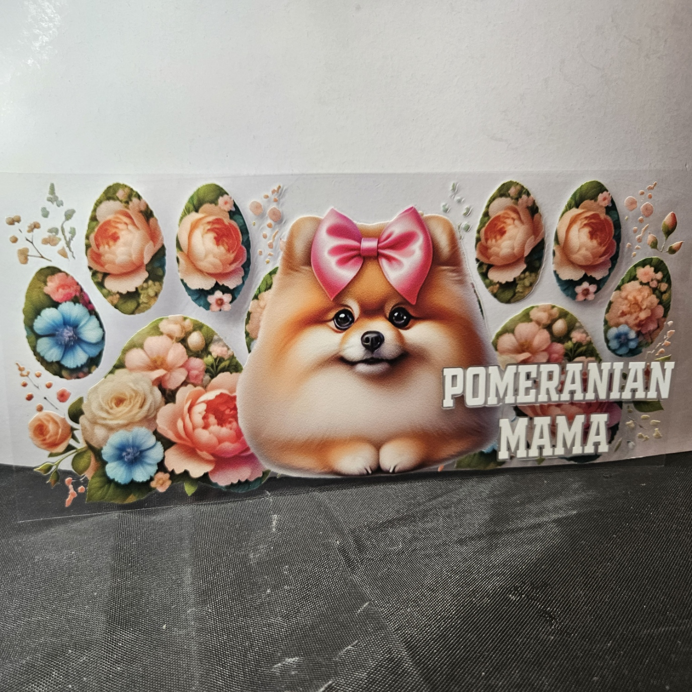 Dog-23