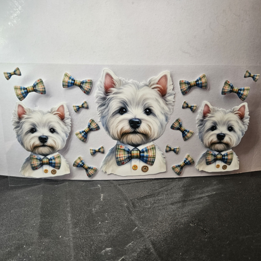 Dog-9