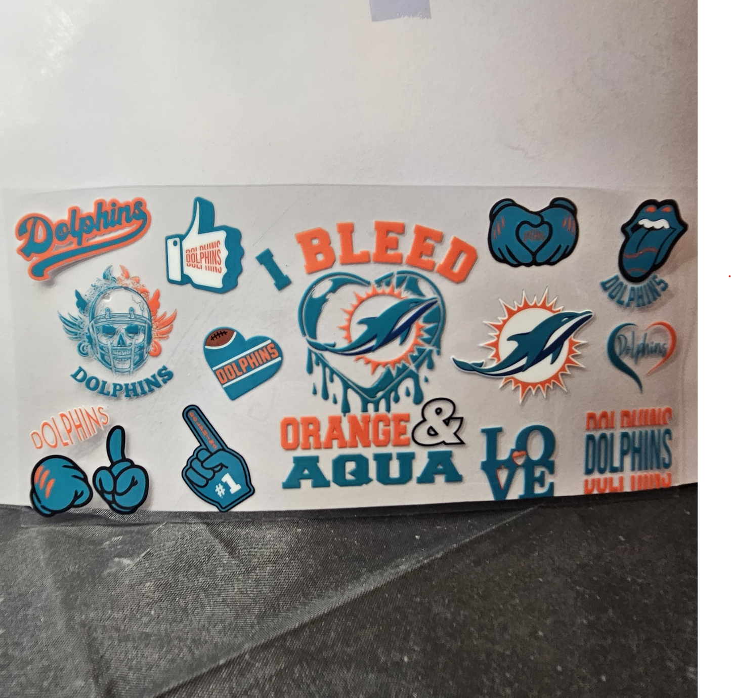 Dolphins-13