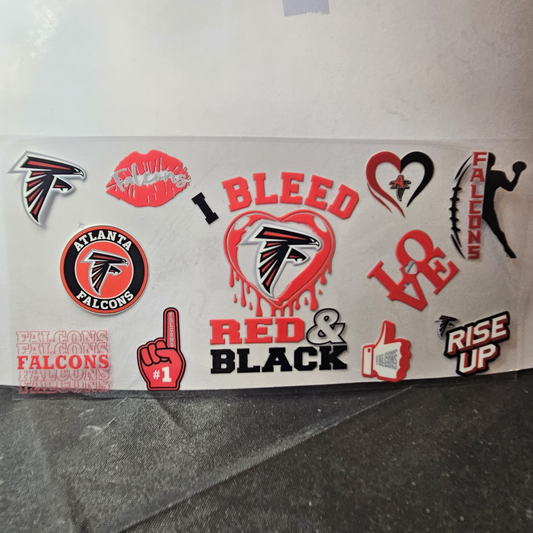 Falcons-10