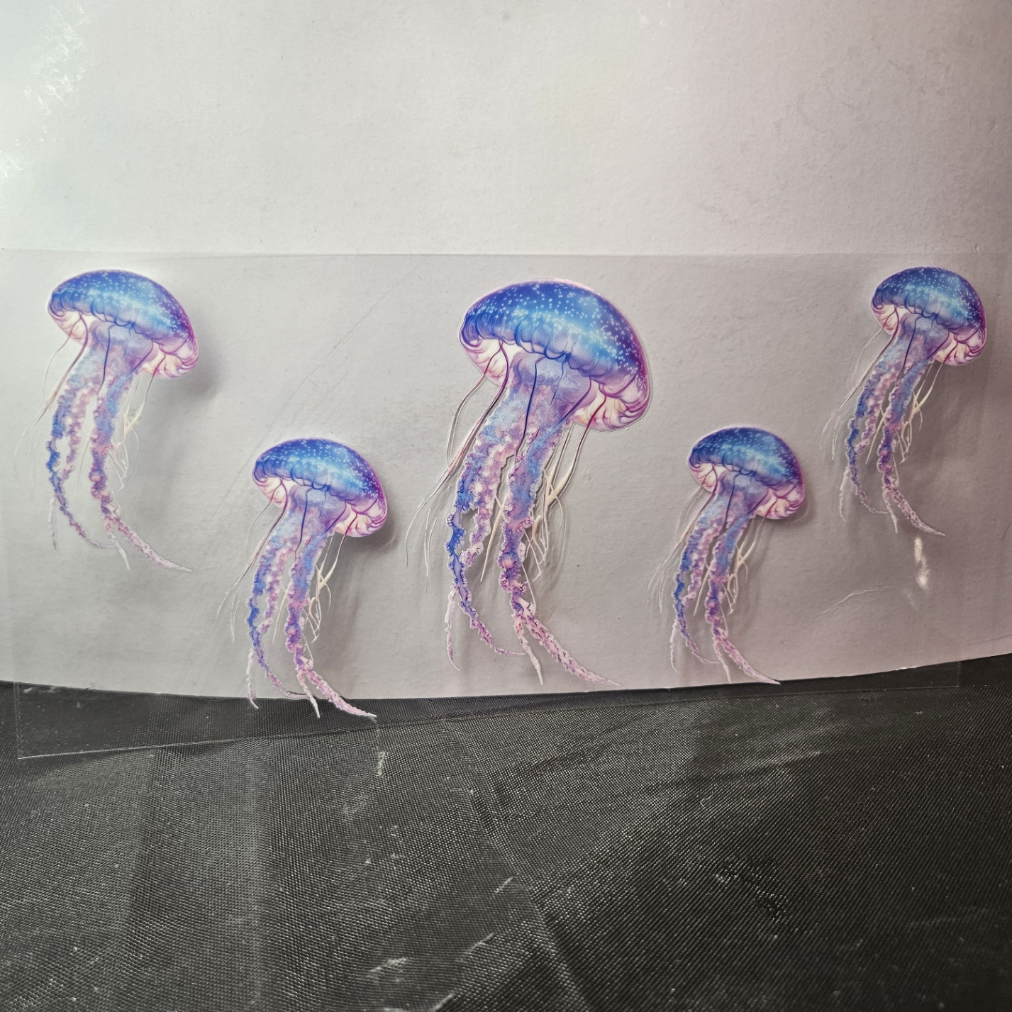 Jellyfish-1