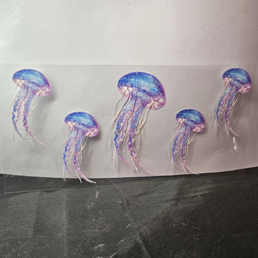 Jellyfish-1