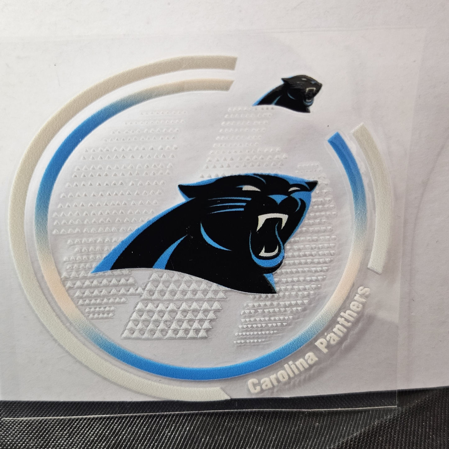Panthers-1