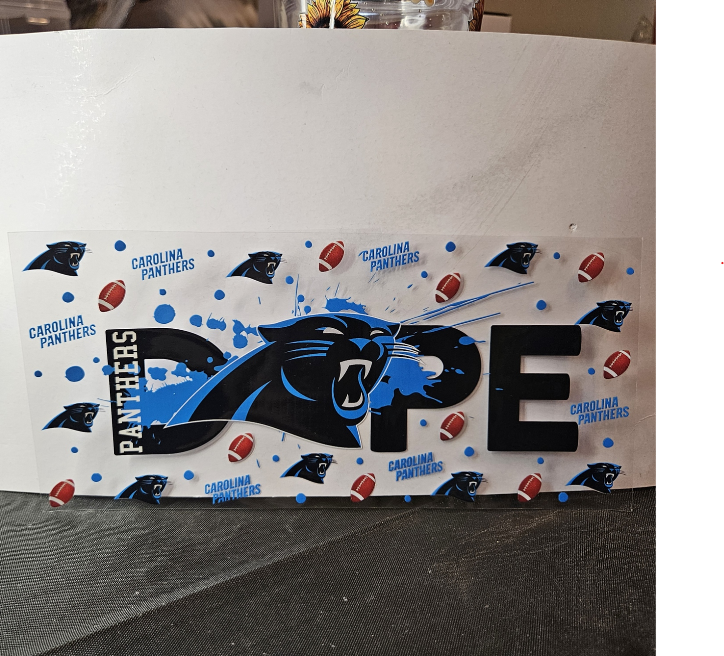 Panthers-1