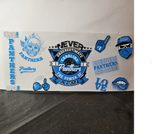 Panthers-2
