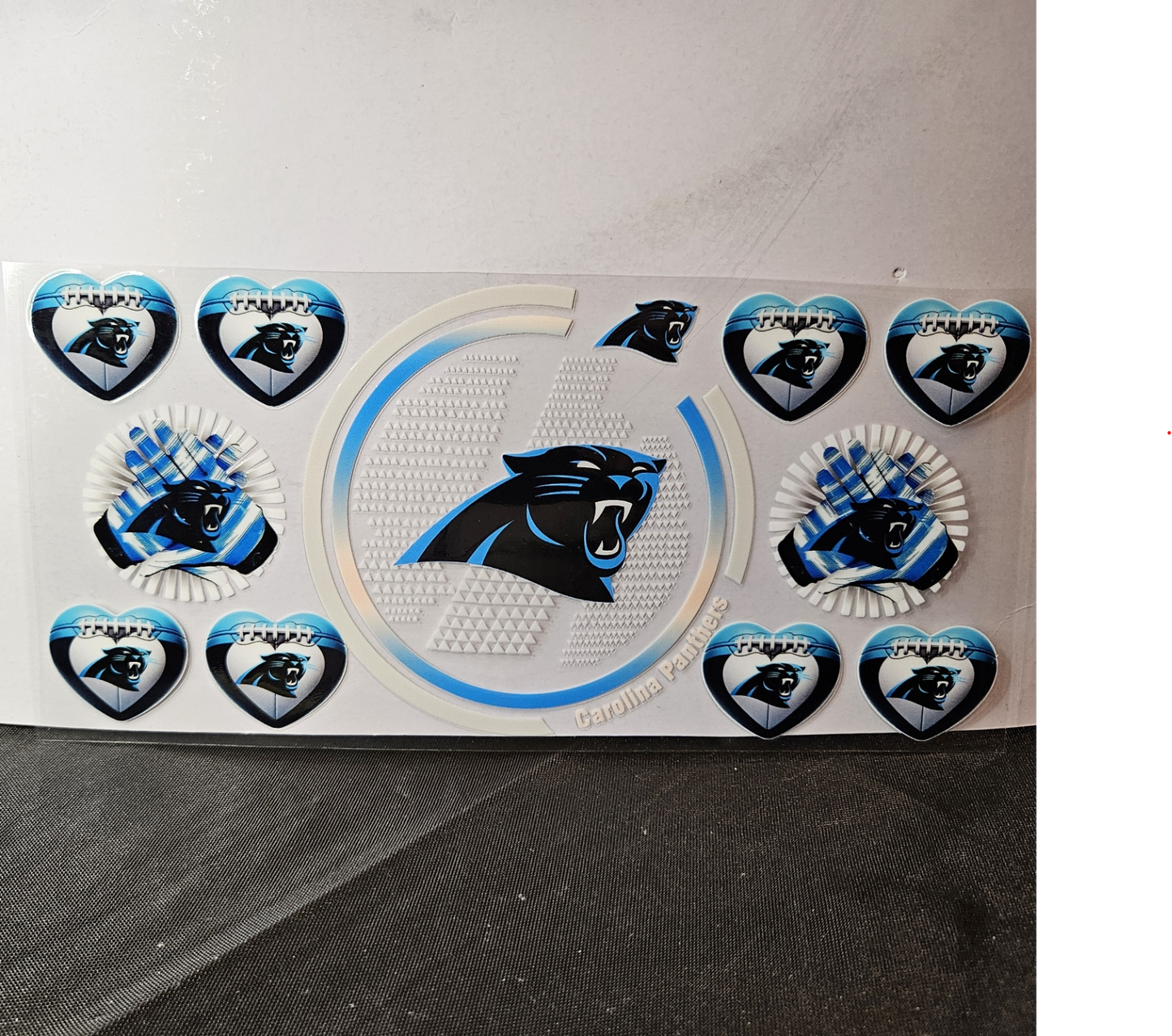 Panthers-3
