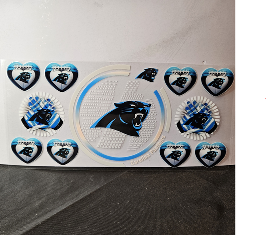 Panthers-3
