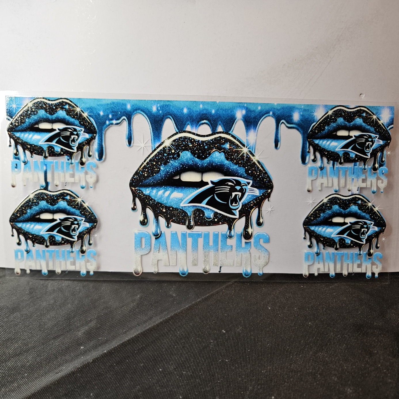 Panthers-4