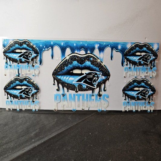 Panthers-4