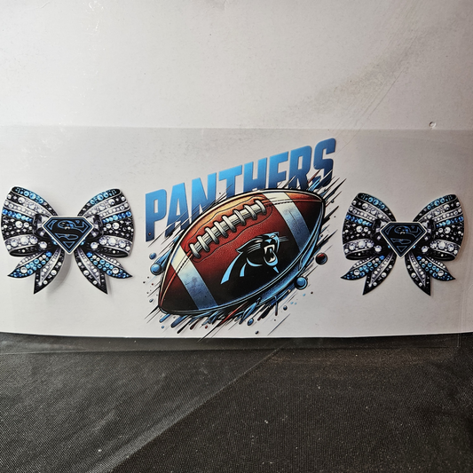 Panthers-7