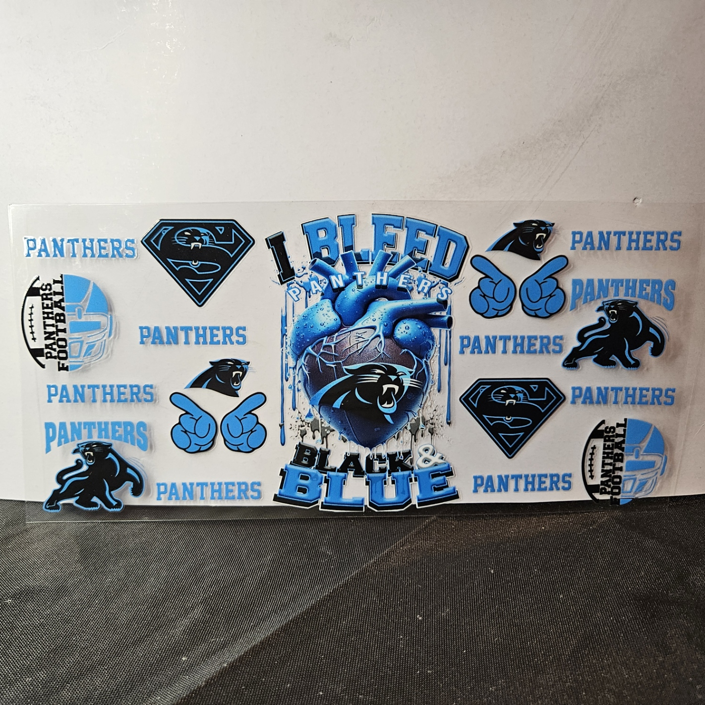 Panthers-8