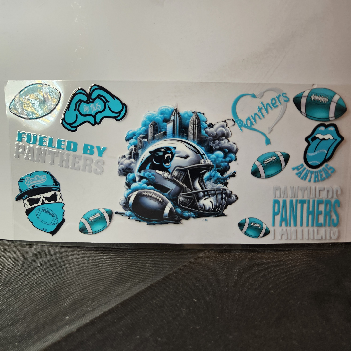 Panthers-9