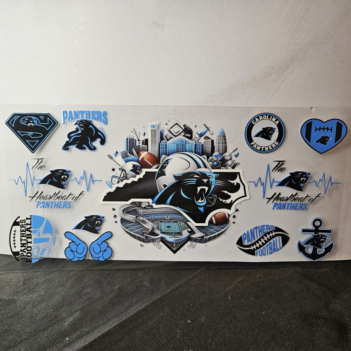 Panthers-6