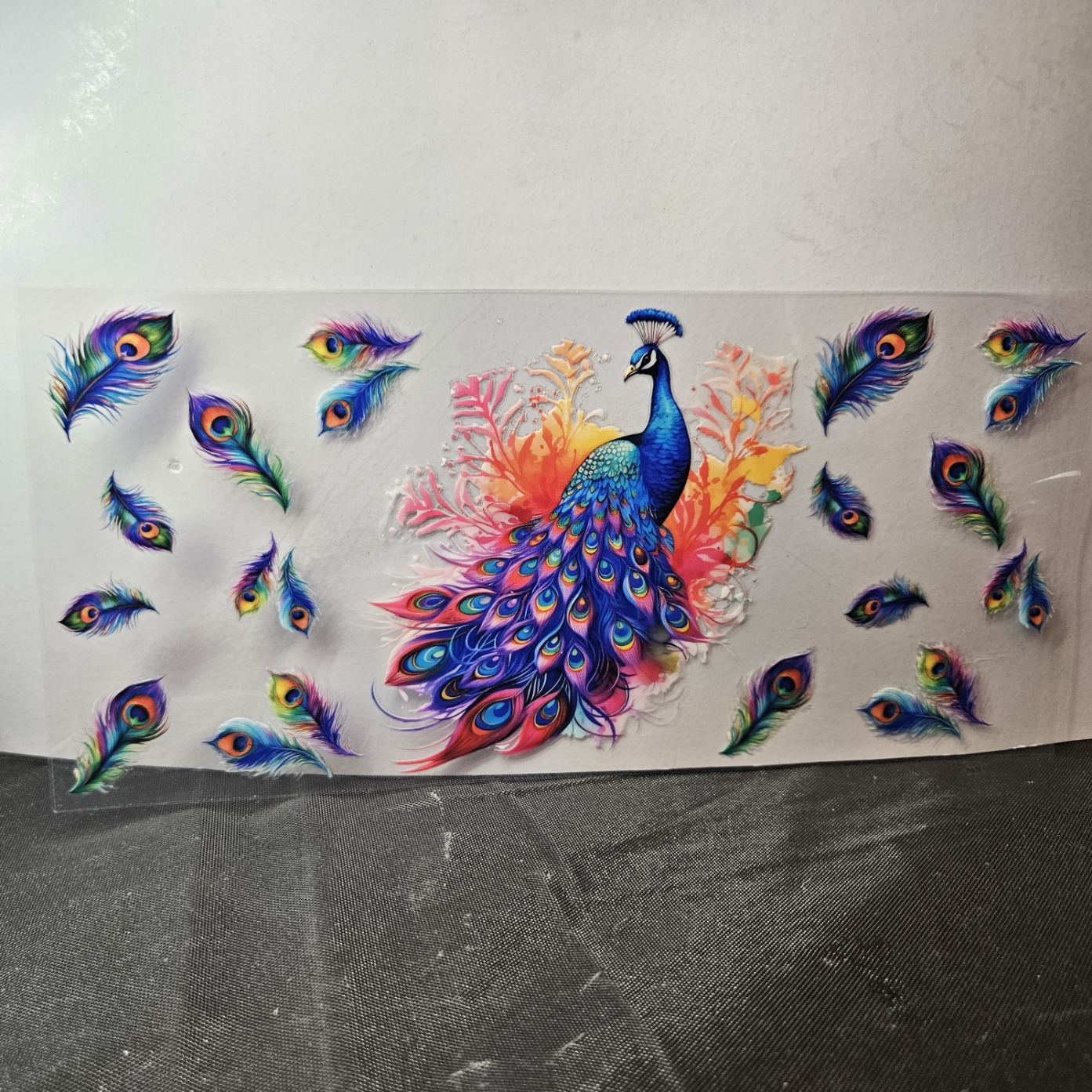 Peacock-1