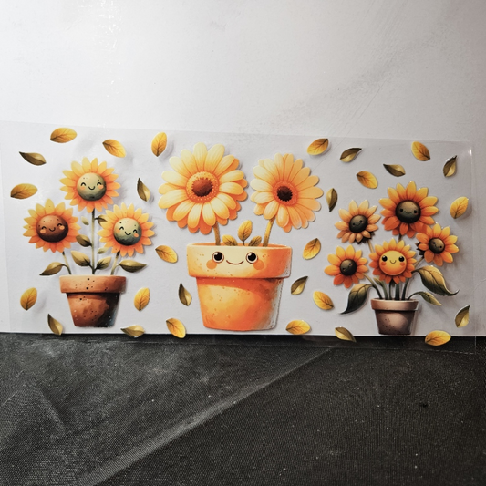 Sunflower5